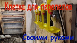 Клетка для перепелов своими руками