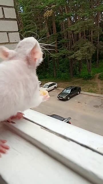 ылаъкаьры ь ъ у́ 0ы́о́ъ.