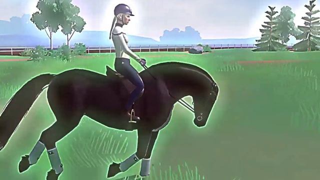 “Dressage horses can’t run fast.” #etg #dressage #dressagerider #dressagepony $horse смотреть онлайн