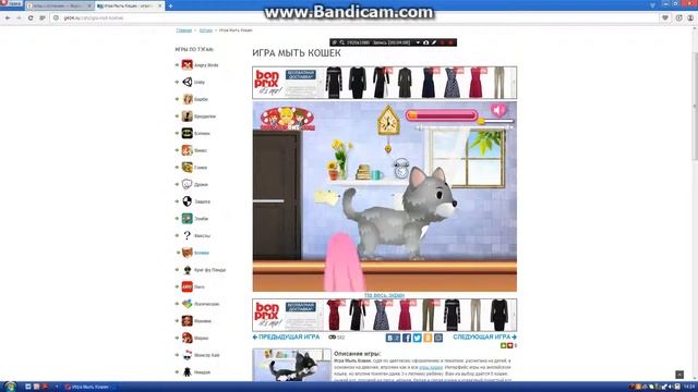 Играем в игры с котятами)))))Tigra TV смотреть онлайн