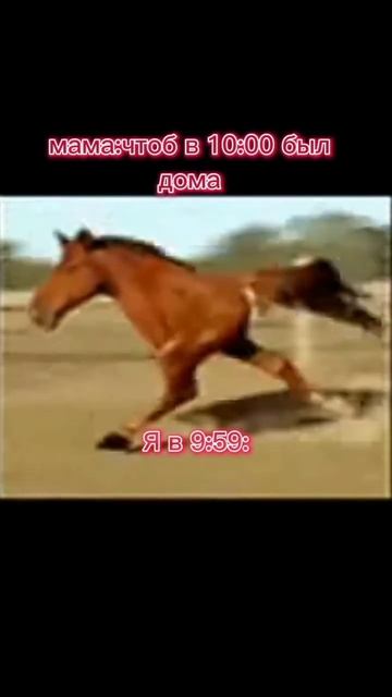 у кого так?#мем #comedy #лошадь#shorts #ору #видео #бежим смотреть онлайн