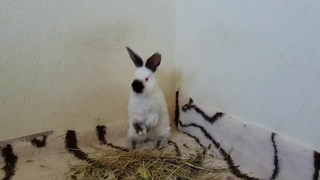 Liebe findet einen Weg ❤ смотреть онлайн