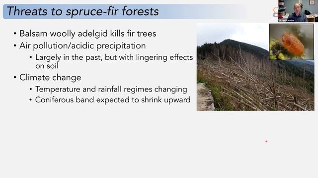 Science @ Sugarlands: Litter Arthropods of High Appalachia (Michael Caterino, Clemson) смотреть онлайн