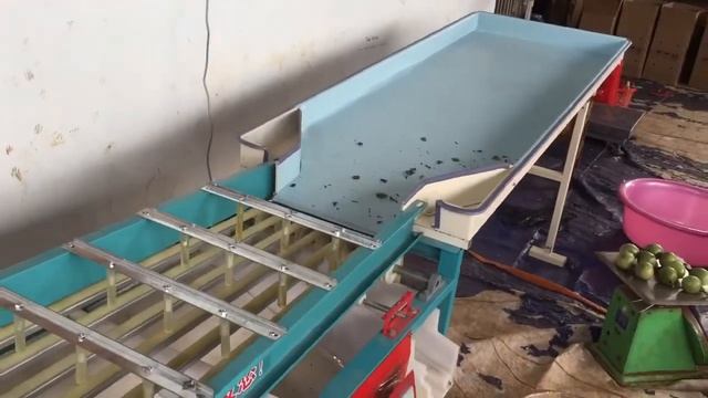 cấu trúc máy phân loại chanh смотреть онлайн