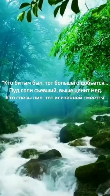 Кто битым был, тот большего добьется... смотреть онлайн