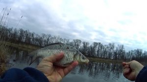 Ловля карася на поплавочную удочку ранней весной. Рыбалка на карася в марте