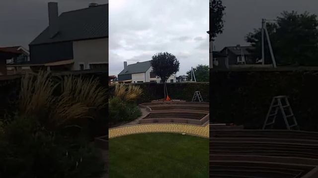 Слива Писарди смотреть онлайн