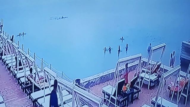 Shark Attack in Egypt 2023 (Unsensord-New Footage) Warning Graphic! смотреть онлайн