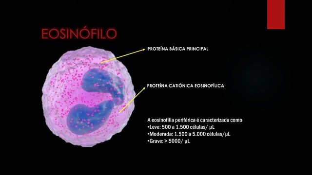 VERMINOSES e SÍNDROME DE LÖEFFLER смотреть онлайн
