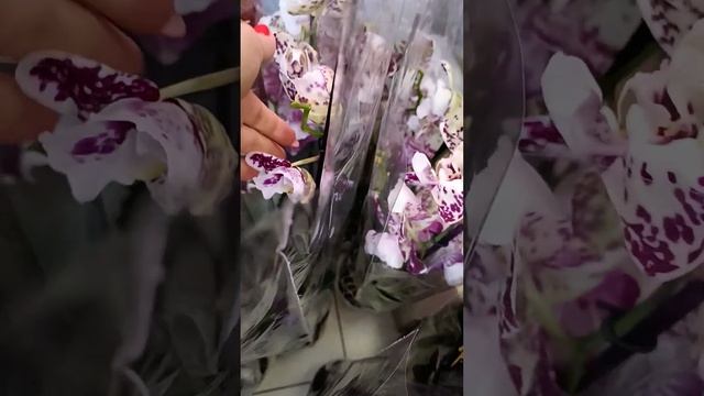 Поставка от 7 августа 1 часть. Заказы присылать на ватсап 89298541346 Вера смотреть онлайн