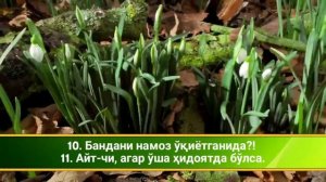 «Ал-Алақ» сураси – Омар Хишам Ал Араби сокин тиловат