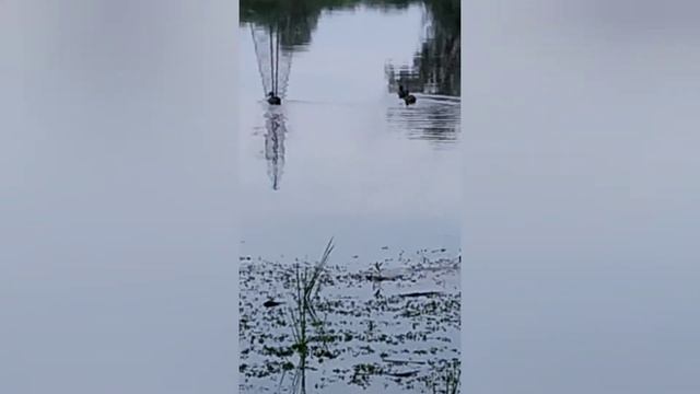 Оглянись вокруг и посмотри! смотреть онлайн