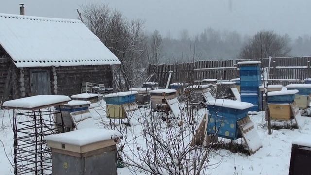 на пасеке 15 11 22 смотреть онлайн