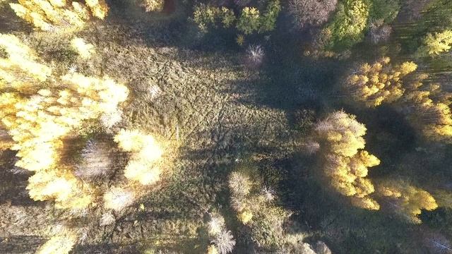 ""Вишенский"" Страйкбол Гомель STRAIKBOLGOMEL.BY смотреть онлайн