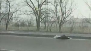 1.3 Действия населения при ЧС природного характера #1