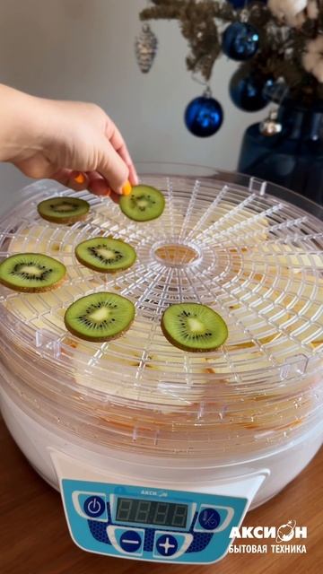 Электросушилка для овощей и фруктов Т43 