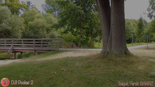 DJI Action 2 VS DJI Pocket 2. Actioncams Comparison смотреть онлайн