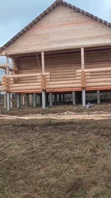 Февраль 2025. Сруб бани 6х6 с террасой 2 метра под двускатную крышу. Часть №2. смотреть онлайн