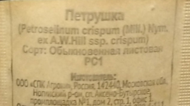 Петрушка в квартире 24.02. смотреть онлайн