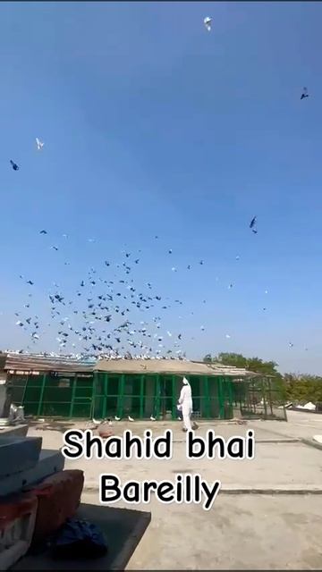 Shahid Bhai Bareilly Wale Ke Up Pravas Ka Taiyari