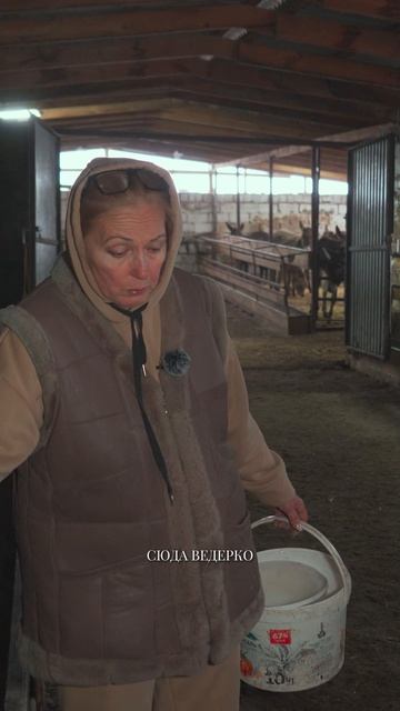 Как производят ослиное молоко? Как доят ослиц? #фермерство смотреть онлайн