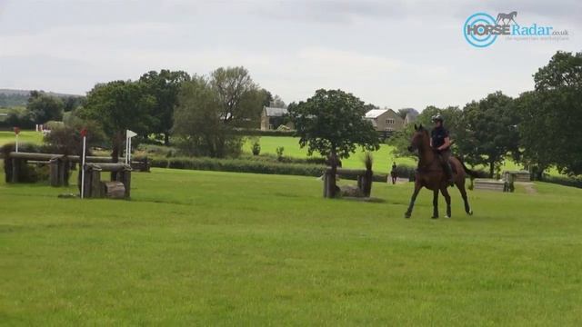 Cross Country Training - Corner Fences смотреть онлайн