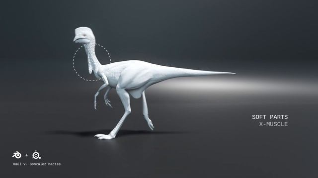 3D Dinosaur Oviraptor: Blender + substance painter + x-muscle. смотреть онлайн