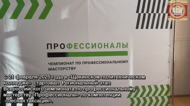 чемпионат по профессиональному мастерству «Профессионалы»