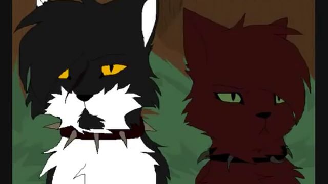 коты воители мааап смотреть онлайн