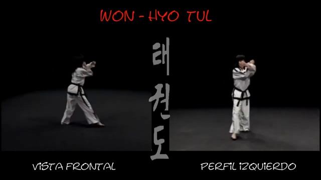 Вон Хё туль видео в тхэквондо на зелено-синий пояс, 5 гып, хьенг 28 движений, комплекс Won Hyo Tul смотреть онлайн