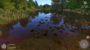 ЧТО ДЕЛАТЬ, Если не КЛЮЕТ на оз. МЕДНОЕ (Читайте ЗАКРЕП) ● Русская Рыбалка 4 | РР4