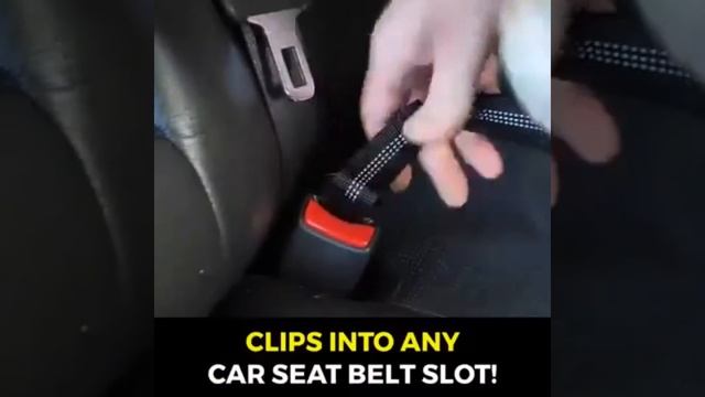 Pet Plus Elastic Car Seat Belt смотреть онлайн