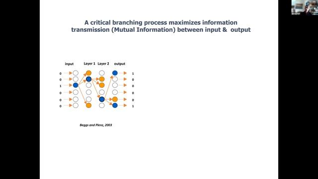 IJCNN 2021 Plenary Talk: Self-Organized Criticality in the Brain смотреть онлайн