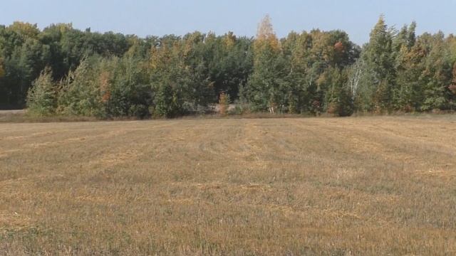 Половинное Осень 2019 смотреть онлайн