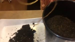 Клематисы 02.03.18 Клематисы Акаиши