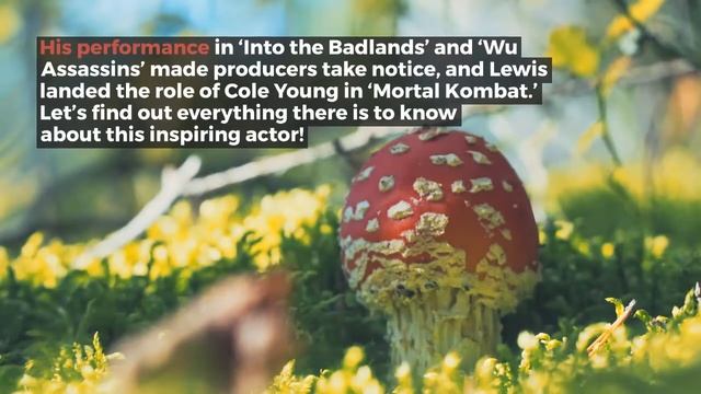 Lewis Tan Plays Cole Young in Mortal Kombat. Here’s Everything We Know About Him. смотреть онлайн