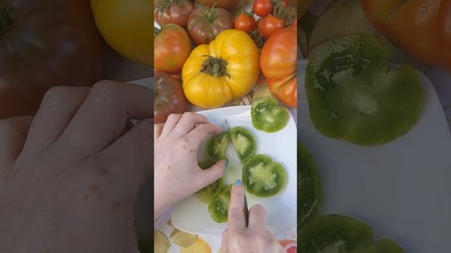 Home grown green Zebra tomato 'unpacking'! смотреть онлайн