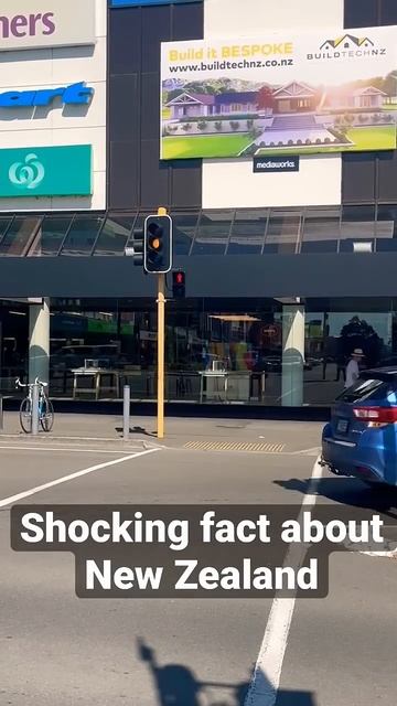 Shocking Fact about New Zealand | #ytshorts смотреть онлайн