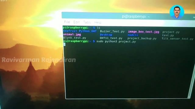Raspberry Pi Based IoT Forest Fire, Temperature, Antipoaching & Animal Detection #raspberrypi #ai