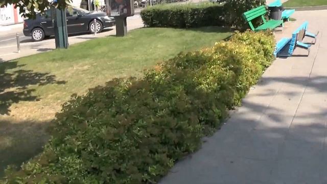 Siaubingai raganishki suoliukai Vokieciu gatveje смотреть онлайн