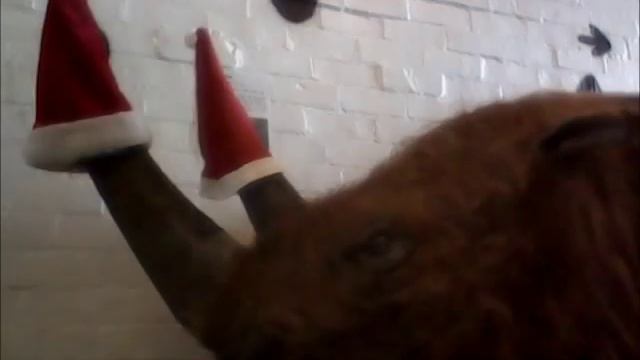 Dinostar's Woolly Rhino at Christmas смотреть онлайн