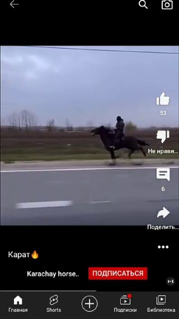 Карачаеский жеребец... смотреть онлайн