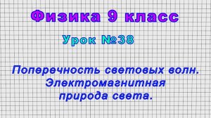 Физика 9 класс (Урок№38 - Поперечность световых волн. Электромагнитная природа света.)