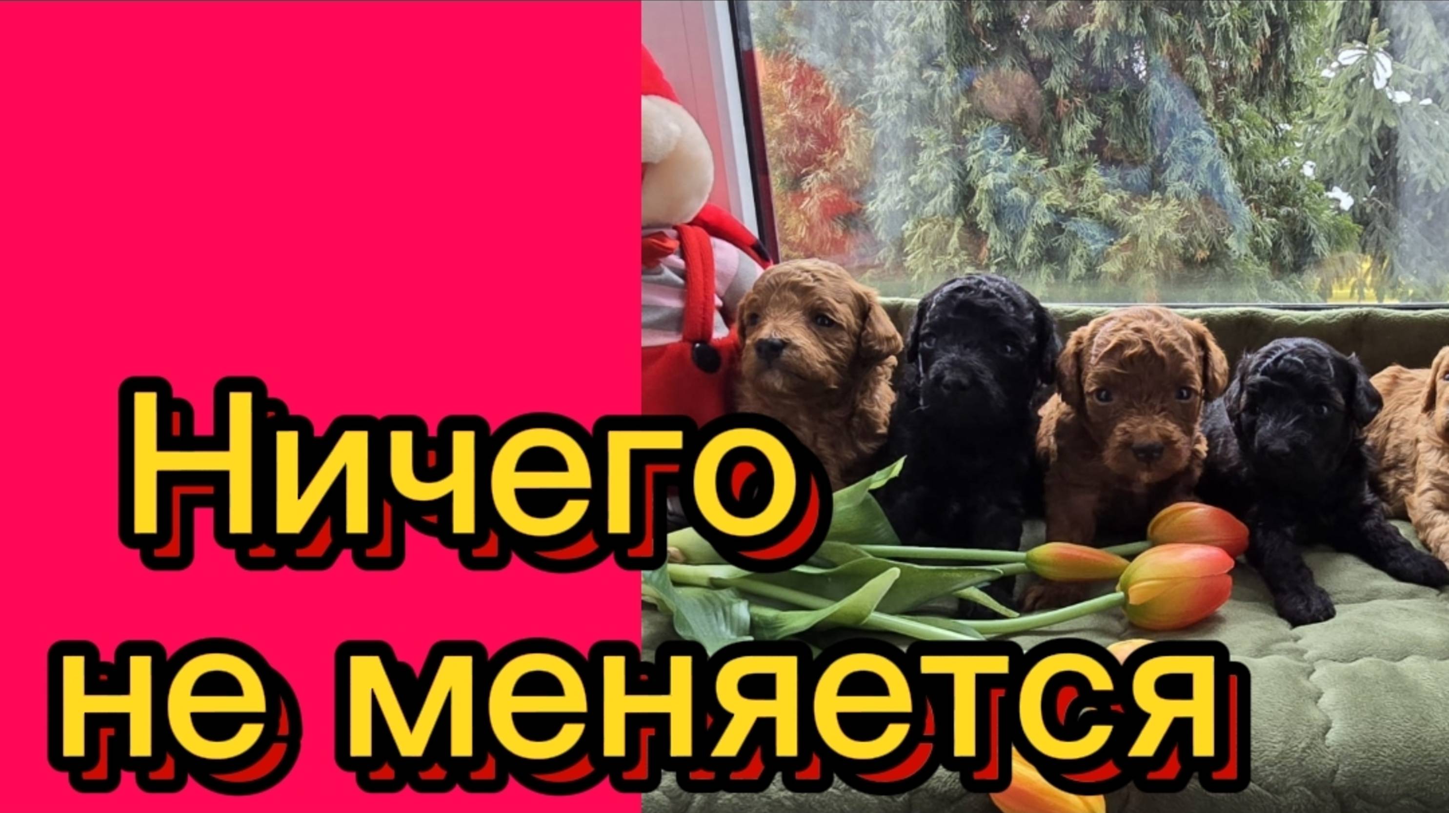 ДЕРЕВЕНСКИЙ ДНЕВНИК. "Устала" смотреть онлайн