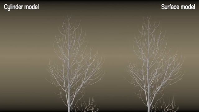 Visualizing reconstructed tree models смотреть онлайн