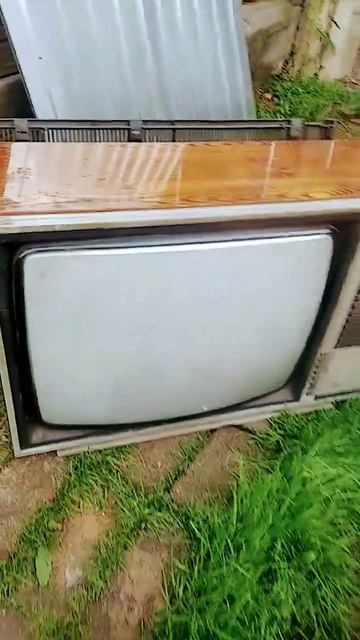 #медь #поискметалла #цветнойметалл #алюминий #вторсырье #медяха #металокоп #хобби #поискмеди #латунь смотреть онлайн