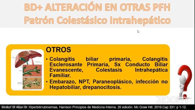REVIT-CH: FISIOPATOLOGÍA Y ENFOQUE DE LA ICTERICIA смотреть онлайн