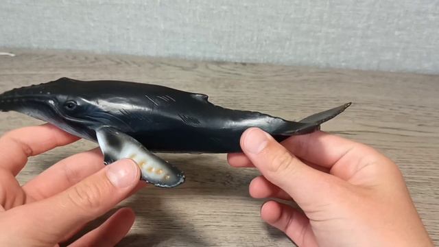 Обзор Collecta горбатый кит