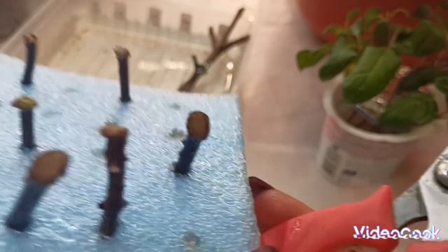 #будницветочницы# часть 2 смотреть онлайн