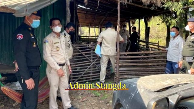 Authorities crack down on illegal pig smuggling from Thailand in Banteay Meanchey смотреть онлайн